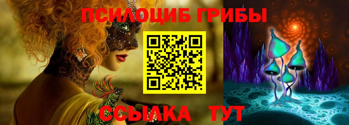 Галлюциногенные грибы Psilocybine cubensis  Псилоцибиновые грибы Psilocybe  Тамбов  Вход с VPN 